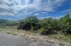 BARBARY BEACH unit: 1, Grand Bahama/Freeport, 