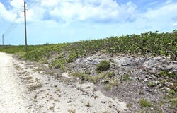 WHALE POINT ESTATES, Eleuthera, 