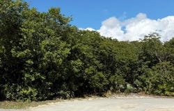 DUNDAS TOWN LOT, Abaco, 