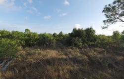 285 CASTNER AVENUE, Grand Bahama/Freeport, 