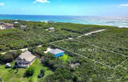 2D YELLOW WOOD CHEROKEE, Abaco, Abaco