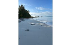 5 ACRES IN SANDY POINT, A, Abaco, Abaco