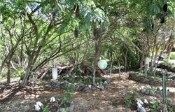 HAMILTON'S LOT, Long Island, Long Island