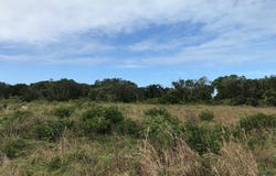 Unnamed Road, Bimini, Bimini