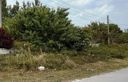 DUNDAS TOWN LOT, Abaco, 