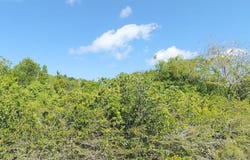 LOT 2, SAN SALVADOR, San Salvador, 