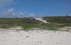 LOT E JEWFISH HILL, Acklins, Acklins
