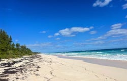 QUEEN'S HIGHWAY, Eleuthera, Eleuthera