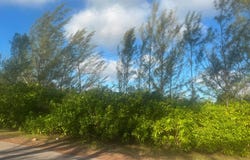 LINCOLN GREEN CORNER LOT unit: 5, Grand Bahama/Freeport, 