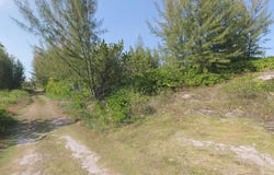 NICHOLLS TOWN, Andros, Andros
