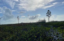 WHALE POINT ESTATES, Eleuthera, Eleuthera