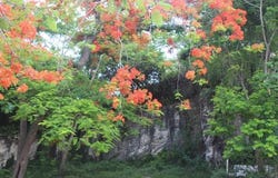 MINNS TOWN FORT FINCASTLE, New Providence/Paradise Island, 