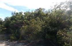 Unnamed Road, Stella Maris, Long Island