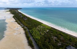 GUAVA DUFF, Andros, Andros