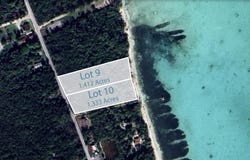 MANGROVE CAY, Andros, Andros