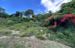 LOT #269, TULIP DRIVE, New Providence/Paradise Island, 