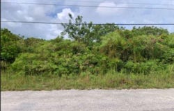 QUEEN'S HIGHWAY, Andros, Andros
