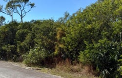 DUNDAS TOWN LOT, Abaco, 