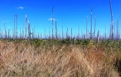 LOT 17 LUCAYA ESTATES unit: 15, Grand Bahama/Freeport, 