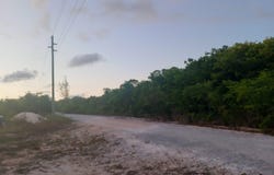 OLD BIGHT CAT ISLAND, Cat Island, 