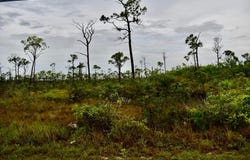 LINCOLN PARK LOT, Grand Bahama/Freeport, 
