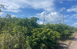 BARBARY BEACH unit: 1, Grand Bahama/Freeport, 