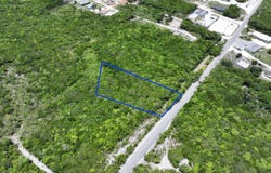 Queens Highway, Palmetto Point, Central Eleuthera