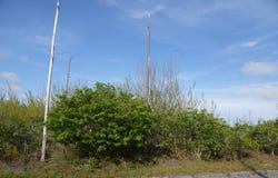 LOT 18 BLOCK 53 unit: 2, Grand Bahama/Freeport, 