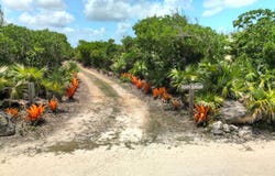 LOT 9A, TOM CURRY'S POINT, Abaco, Abaco