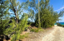 RAINBOW BAY LOT 9 BLK 22, Eleuthera, Eleuthera