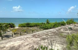 LOT 4 BAHAMA PALM SHORES, Abaco, 