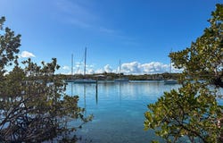 MAN O WAR CAY, Abaco, Abaco