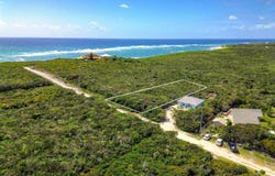 2D YELLOW WOOD CHEROKEE, Abaco, Abaco