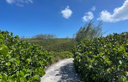 Unnamed Road, Gregory Town, North Eleuthera