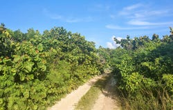 18 CANTALOUPE ROAD, Eleuthera, 