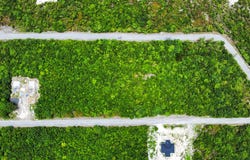 S.C.Bootle Highway, Abaco, Central Abaco