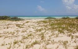 GRAND BAHAMA HIGHWAY, Grand Bahama/Freeport, 
