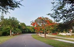WINTON HEIGHTS VACANT LOT, New Providence/Paradise Island, 