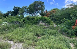 LOT #269, TULIP DRIVE, New Providence/Paradise Island, 