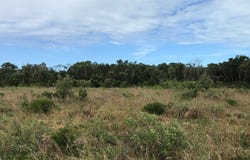 Unnamed Road, Bimini, Bimini