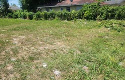 BAMBOO BOULEVARD, New Providence/Paradise Island, 