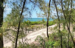 LOT 4 BAHAMA PALM SHORES, Abaco, 