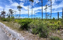 SHANNON LOT, Grand Bahama/Freeport, 