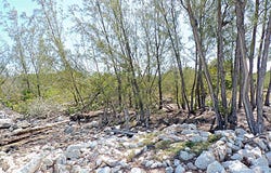8VQH+V72, McKanns Settlement, The Bahamas, Salt Pond, Long Island