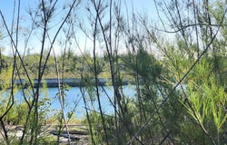 HEYBRIDGE CLOSE, Grand Bahama/Freeport, Grand Bahama/Freeport