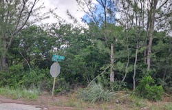 1 LINDSELL DRIVE unit: 1, Grand Bahama/Freeport, 