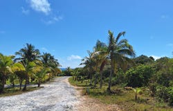 LONG BEACH, Abaco, Abaco