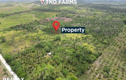 Neighbor to TKO Farms, Teakettle Village, Cayo District, Teakettle Village, Cayo District