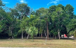 Consejo Beach Trail, Corozal District, Corozal District