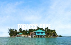nc tobacco farms Tobacco Dreams